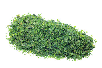 green string lettuce