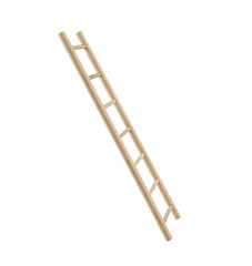 Wooden ladder