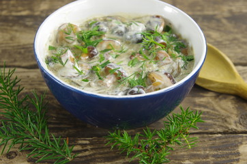 cream soup with boletus