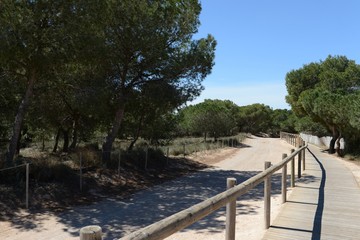 Obraz premium Natural Park of La Mata