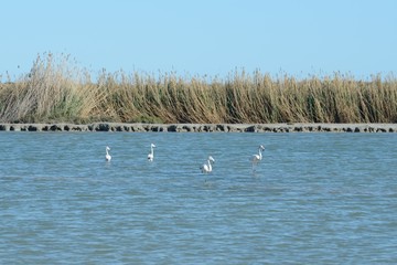 Natural Park of La Mata