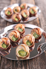 bourgogne snail
