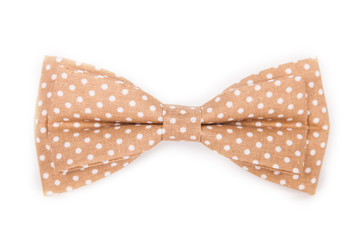 brown bow tie with white polka dots