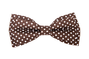 chocolate-colored bow tie with white polka dots