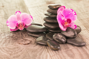 Fototapeta na wymiar Fuchsia Moth orchids and black stones on weathered deck