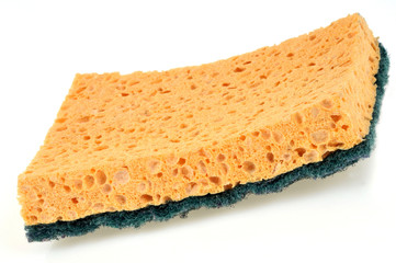 L'éponge double face