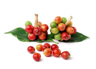 fresh coffee beans isolated on white background