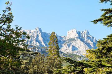 Obraz premium view of Ai-Petri mountain from Alupka, Crimea