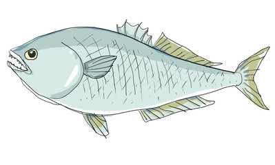 Obraz premium blue fish painting cute style