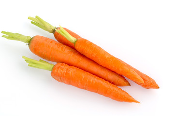 Frische Möhren