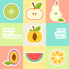 Vector fruit icon