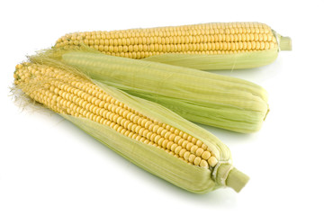 Three corn cob isolated on a white