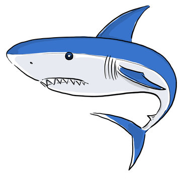 White Shark Painting