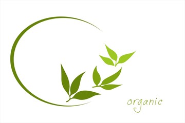 leaves, plant, icon, nature, Eco friendly business logo