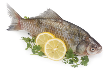 Raw fish with lemon and parsley isolated on white background