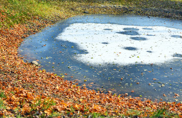 Landscape. First ice.
