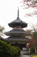 Kimpusenji and autumn leaves,nara,japan