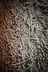 Old doormat Texture looks like a worm