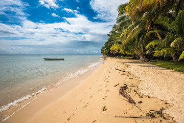 tropical island - sea, sky and palm trees