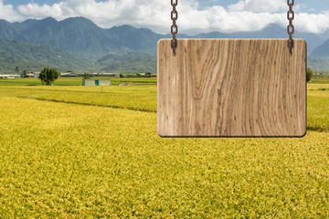 Blank wooden sign