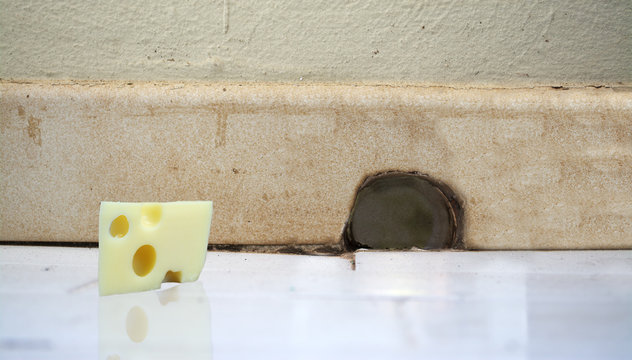 piece of cheese in front of a mouse hole