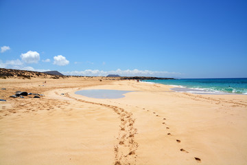playa de la concha en isla graciosa, lanzarote