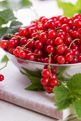 Red currant
