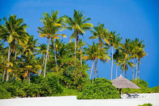 Beach on the Maldives Island