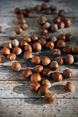 Obraz premium Hazelnuts in kernels, autumn forest fruit harvest, on wood