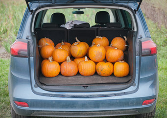 pumpkinCar