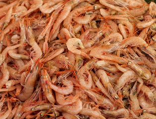 Fresh shrimps in the fish market
