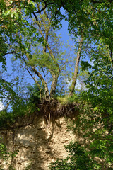 Wąwóz w Sandomierzu 2