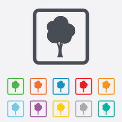 Tree sign icon. Forest symbol.