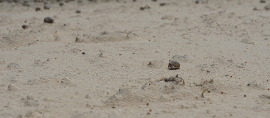 lovely atoll