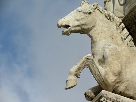Catedral de Siena - Caballo