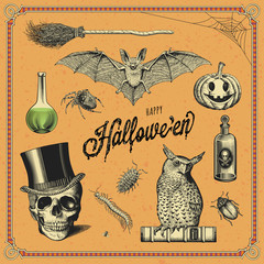 Naklejka premium hand-drawn Halloween design elements