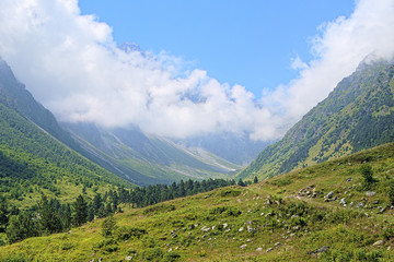 Fototapeta premium Ravine of Bilyagidon river, Caucasus, Russia