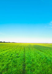 Obraz premium Beautiful Wallpaper Farming Natural Beauty