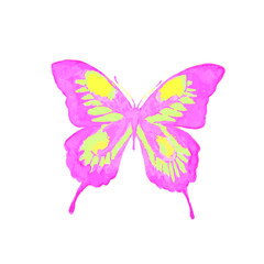 butterflies design