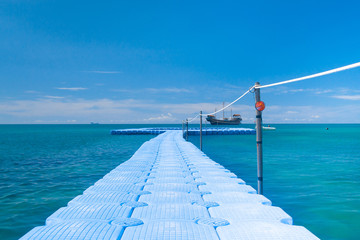 Obraz premium Path filled with Love Living is Easy