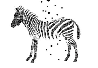 Fototapeta na wymiar Geometric figure zebra