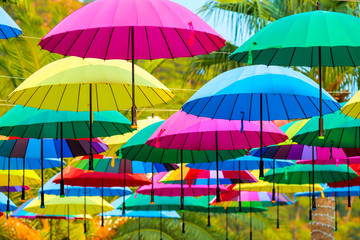 beautiful multi-colored umbrellas on a sunny day