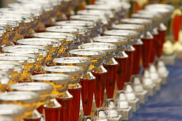 Champion trophies lined up