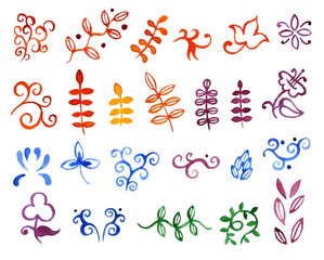 Vector watercolor flowers and floral elements