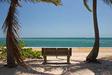 Bench among the palm trees facing the ocean