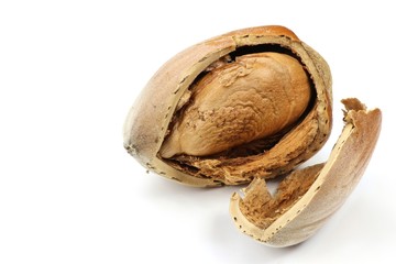 Haselnuss isoliert auf weißem Hintergrund