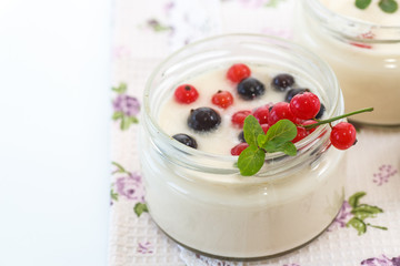 homemade yogurt