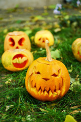 Pumpkins for holiday Halloween on grass background