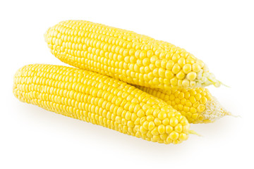 Three corn cob