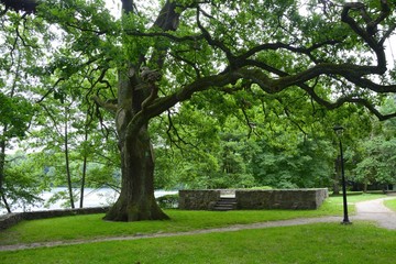 Green parks in Poland